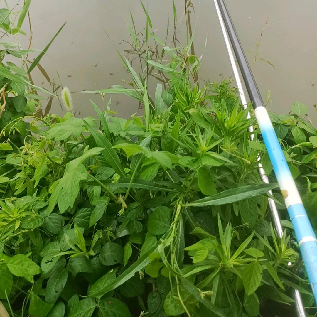 瓷砖空鼓修复，拉货，上料