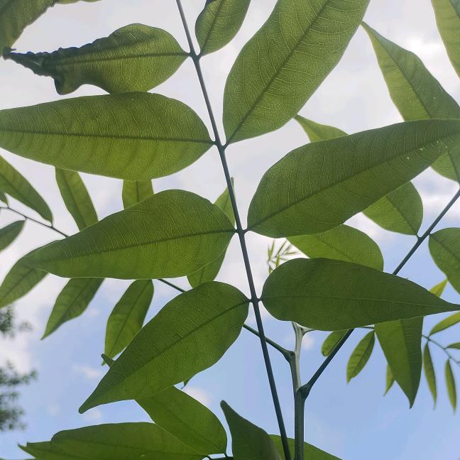 用户53850672