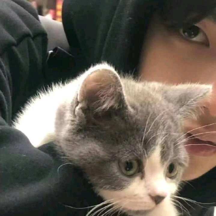 还会有晚安嘛