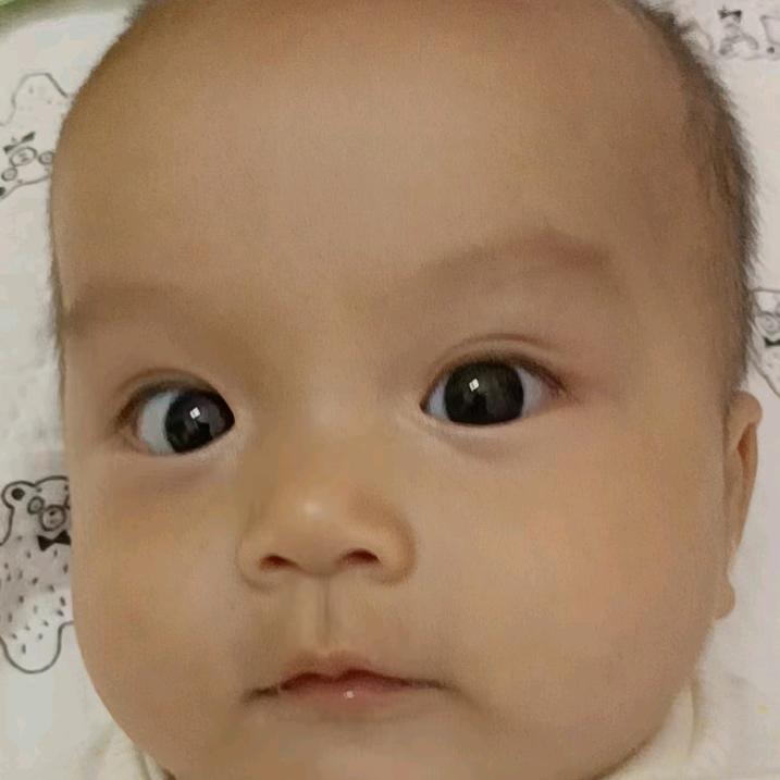 可爱小羽毛