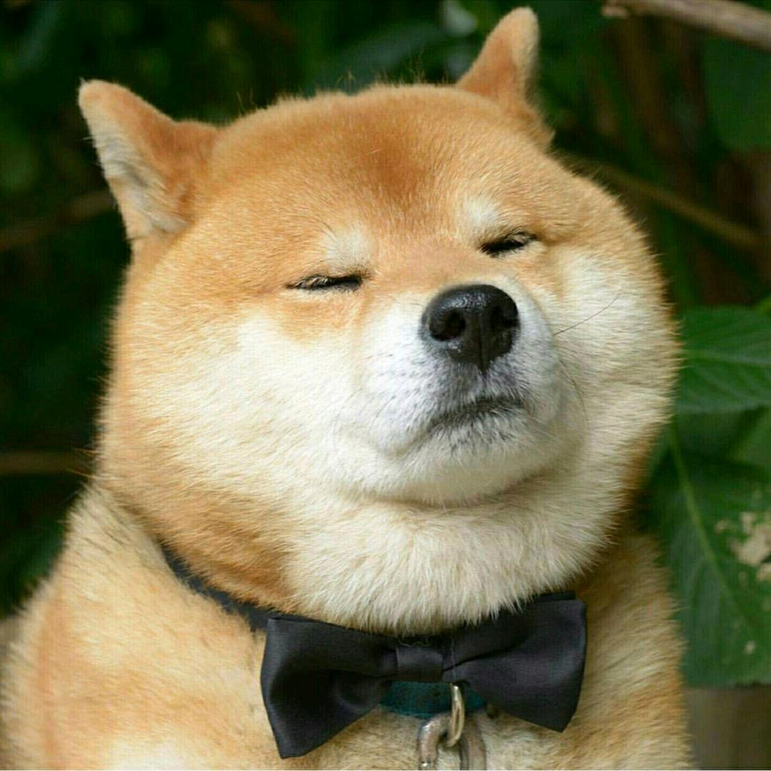 张凡星
