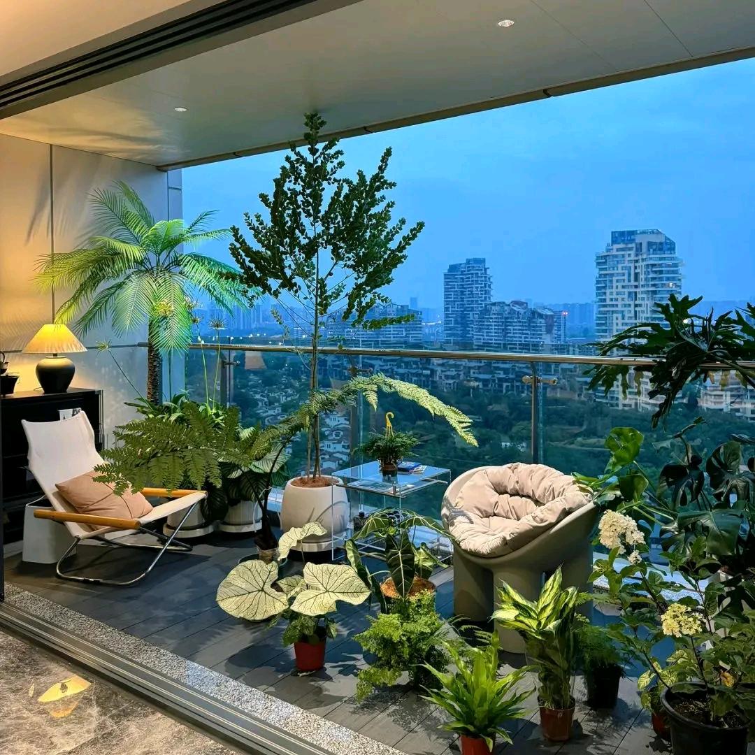 金夜烧烤