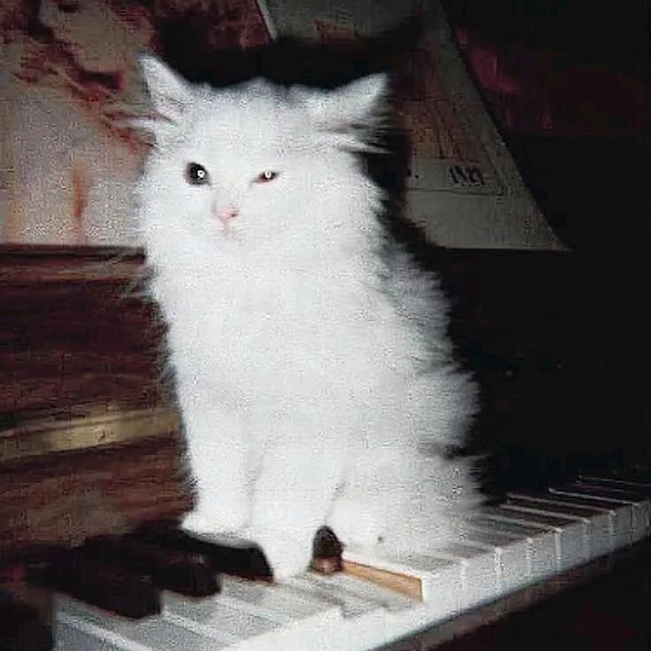 ber