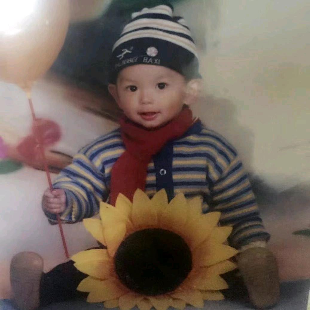鹏鹏的视界