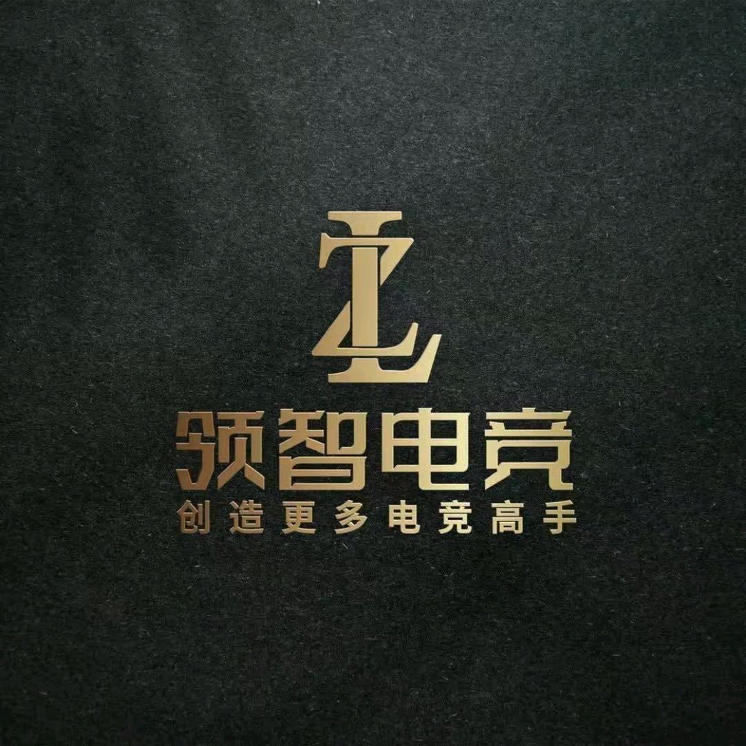 领智电竞11
