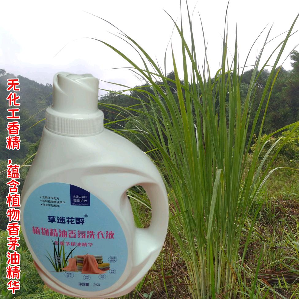 草迷花醉洗衣液（招学徒，招代理，卖机械）