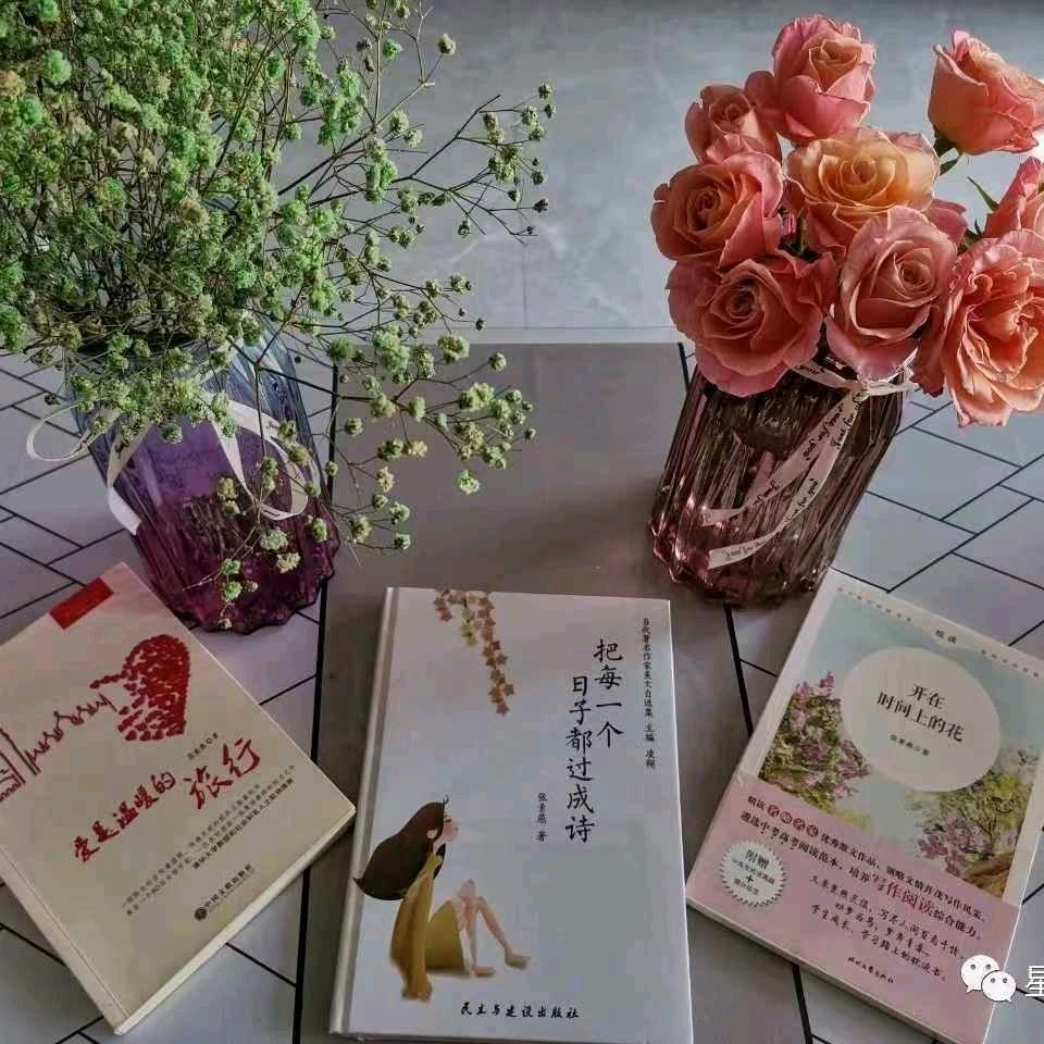 如燕飞翔