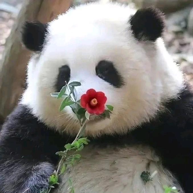 我努力我奋斗