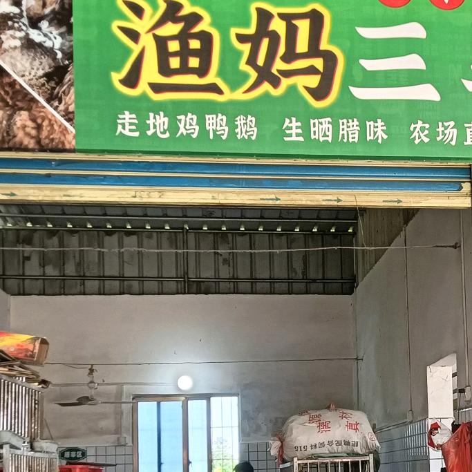 宝林:徐闻县卖鸡鸭鹅鸽子等等免费送上门