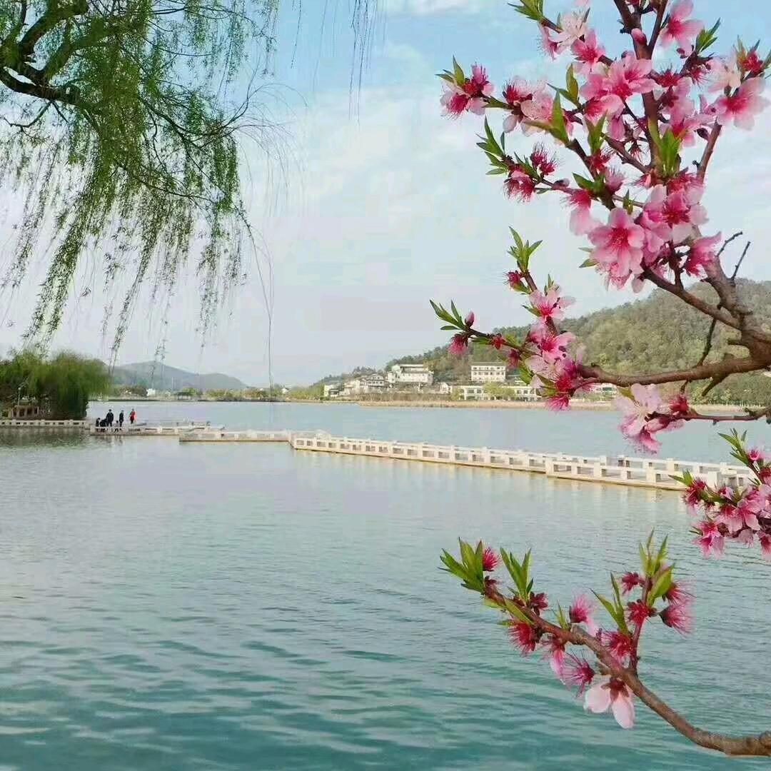 那谁6115029586537