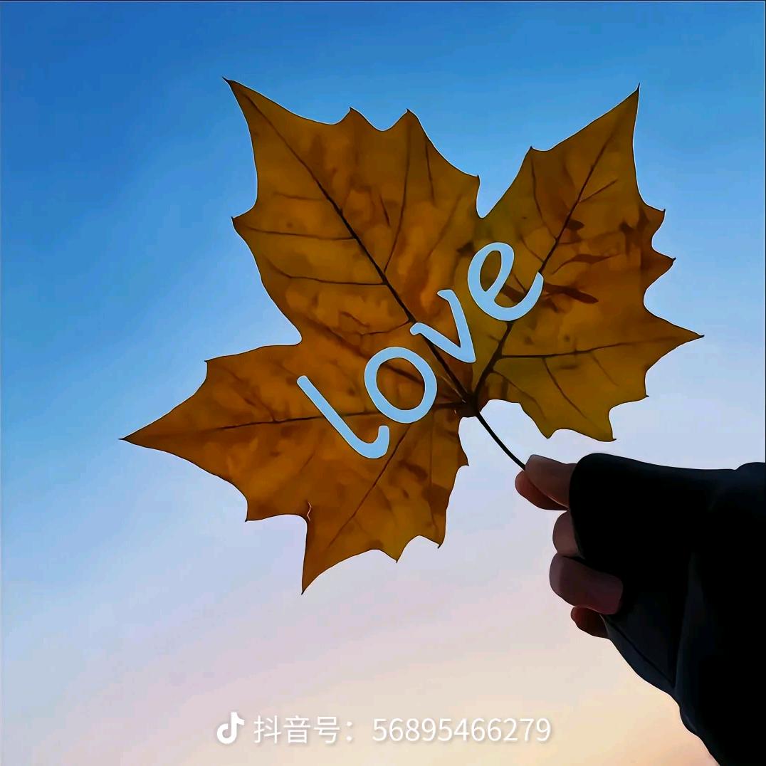 5656💓💓💓💓