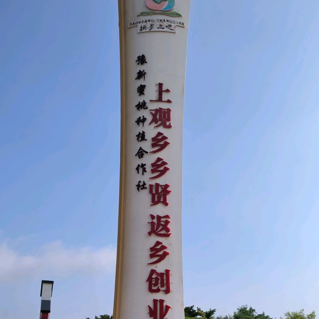 洛阳上观豫新水蜜桃蟠桃种植基地