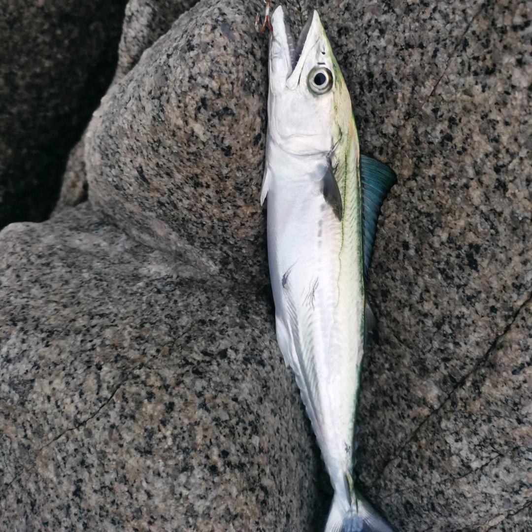 🌈🌈🌈🌈🌈🌈🌈不打烊