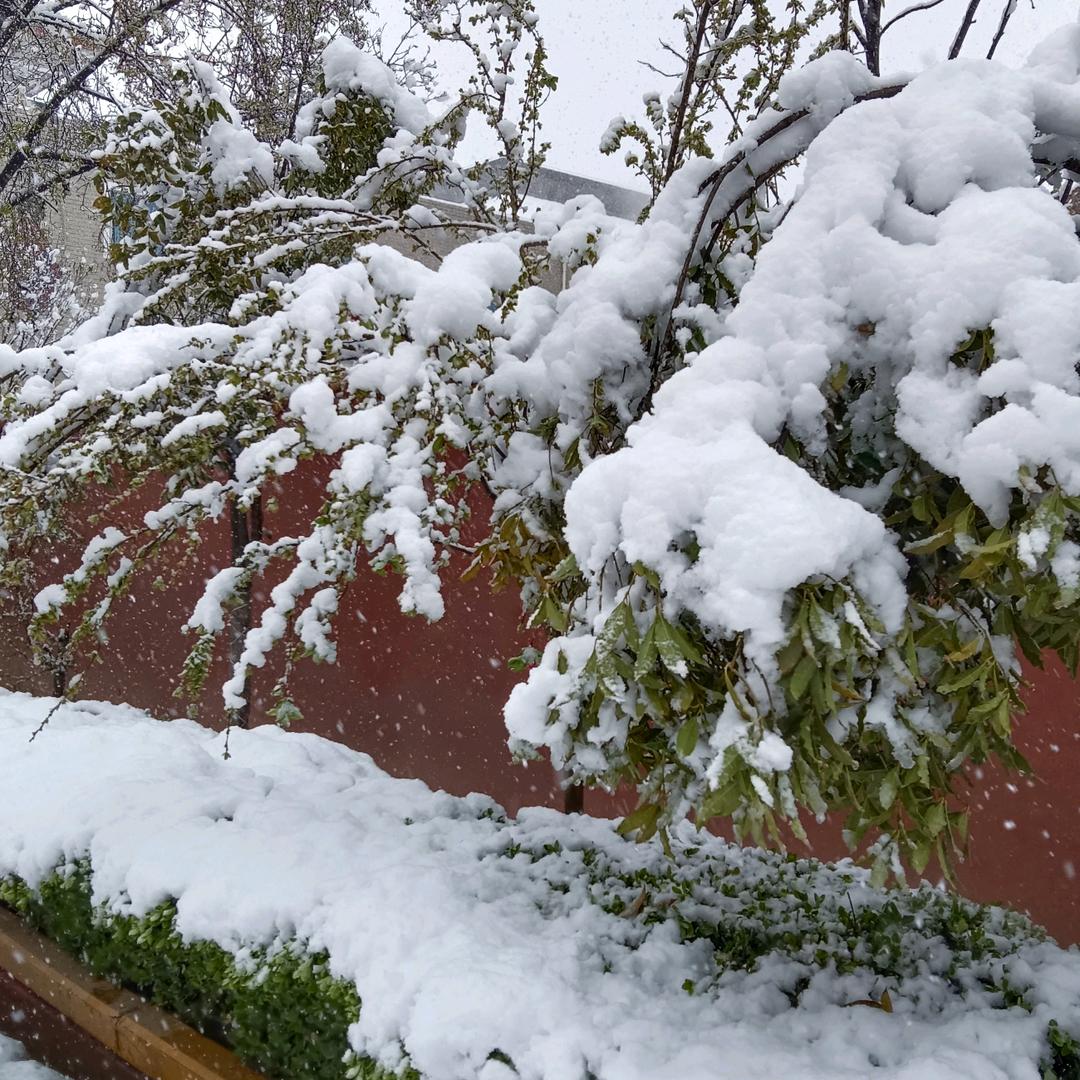 健康快乐每一天