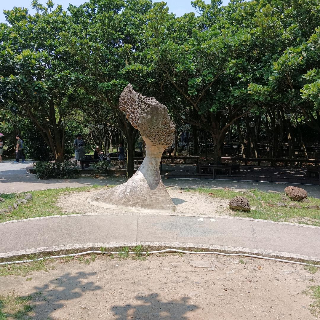 壁上观峰