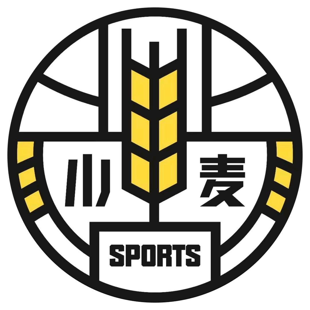 小麦篮球后湖仁恒校区