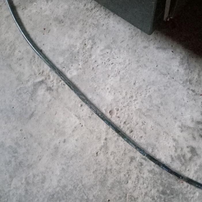 黄卜磊