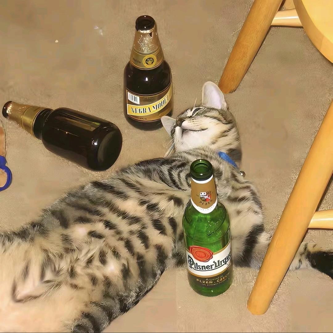 好ᨶ႒ᩚ运加满✨