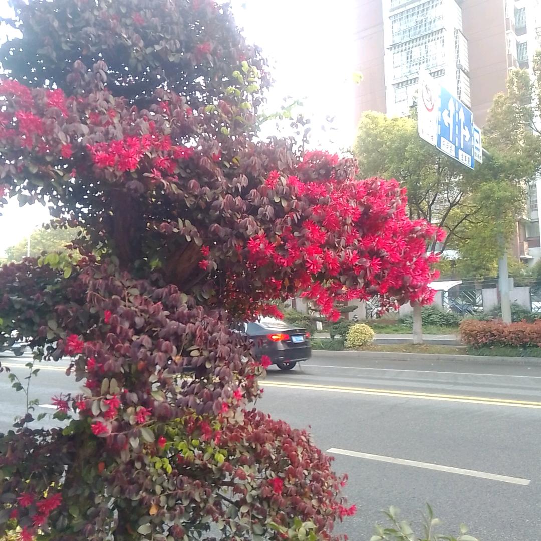 用户3792847395691时光飞逝