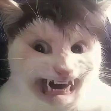 等风也等你