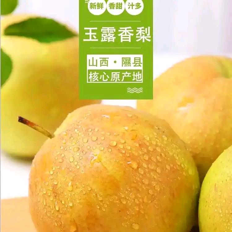 二姐