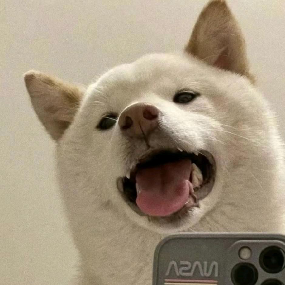 故  事的结尾♥