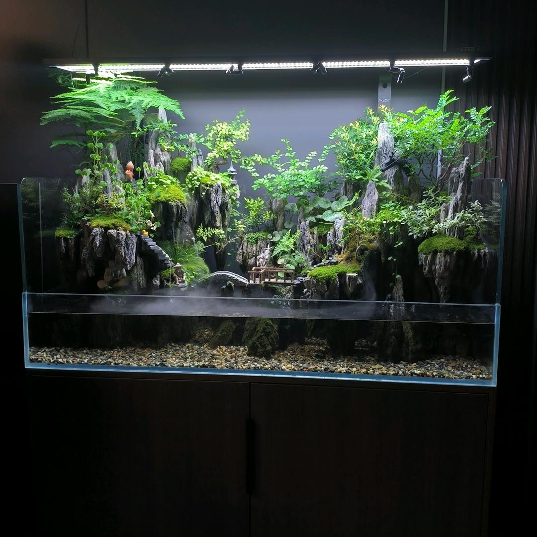 威哥鱼缸造景