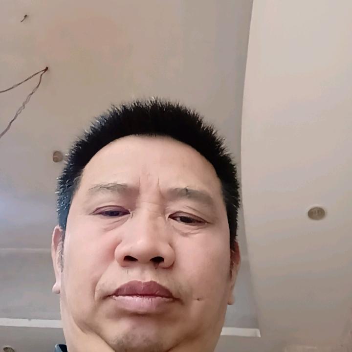 真心实意