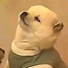 花伯阳