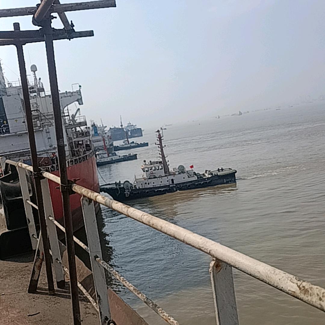 很高兴认识你✔