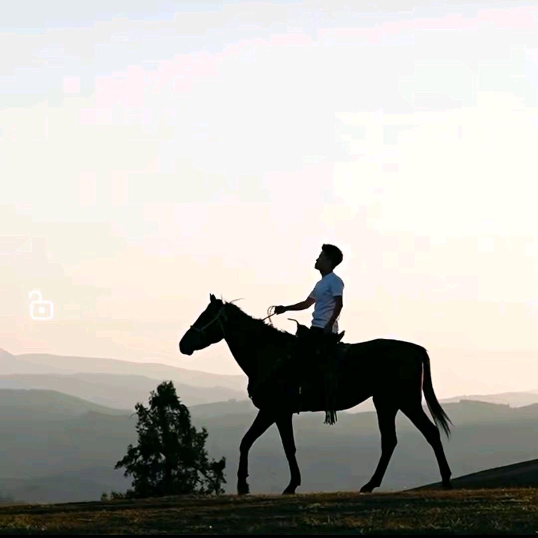 与你同行
