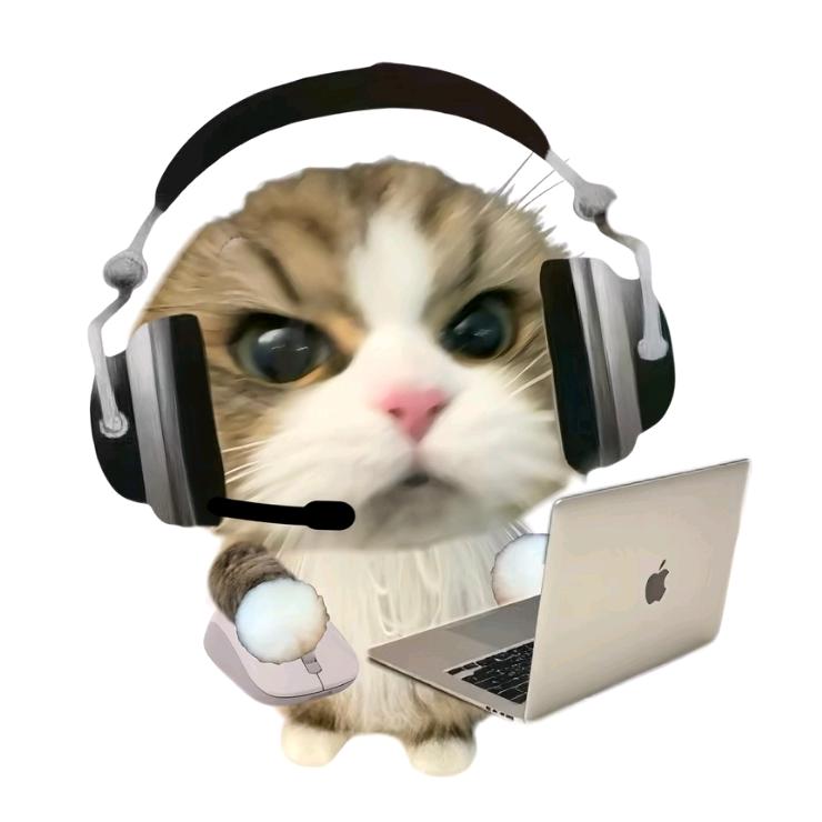 麻辣烫加半瓶醋