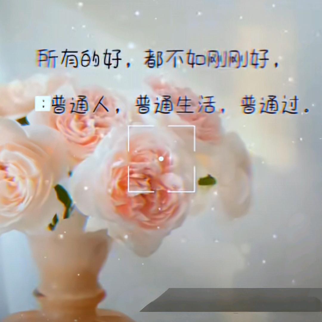 ღ᭄ꫛ聽説ꦿ糖এۣۖิ狠甜拒私聊