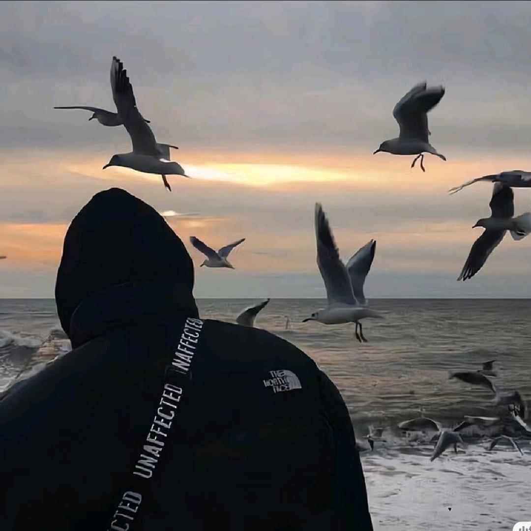 ₯㎕。清风伴酒