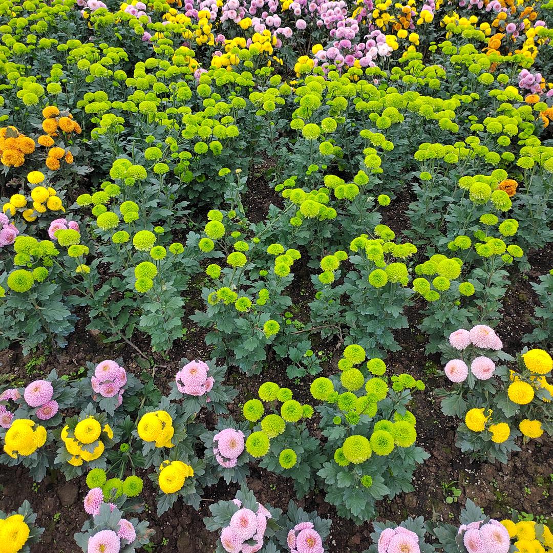 天道酬勤，厚德载物