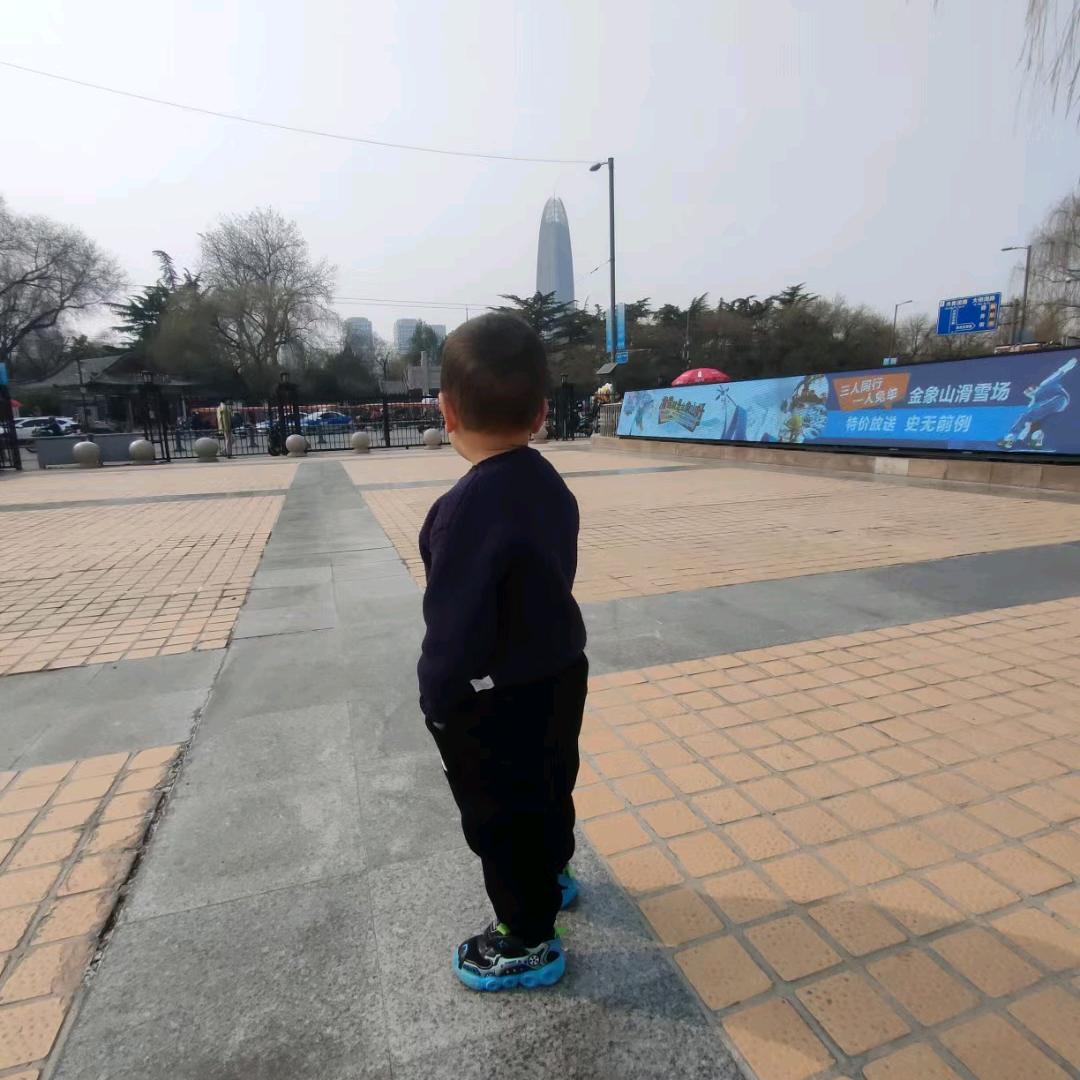 古宝苑里的波妞