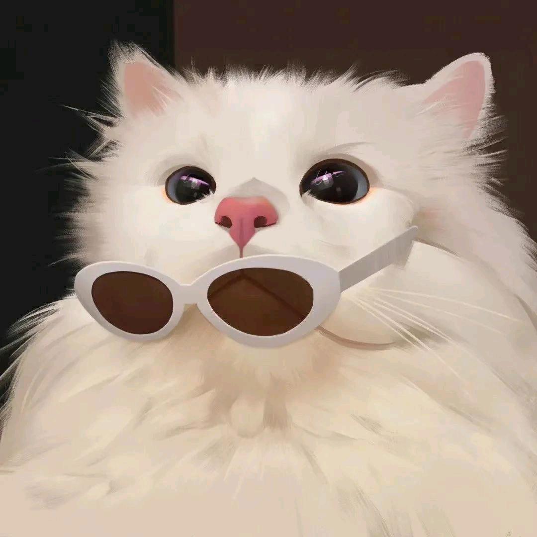 布吨🐶