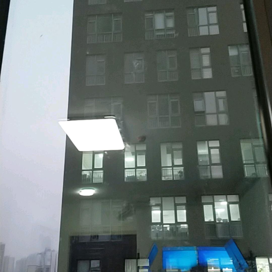 温暖阳光的子墨