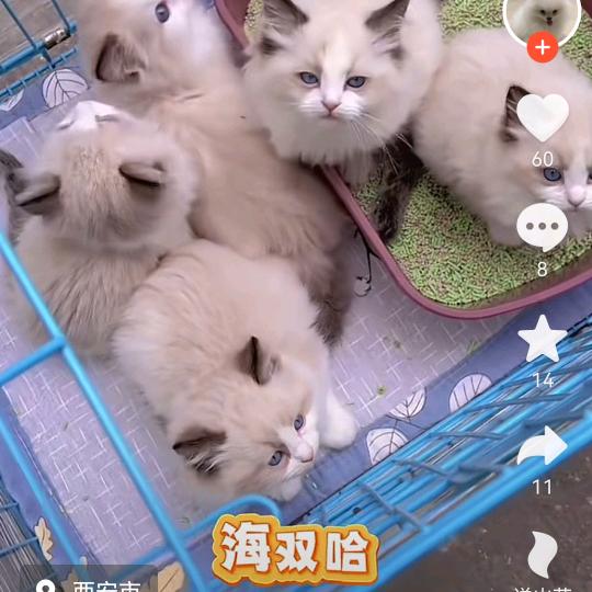 爱恨情仇