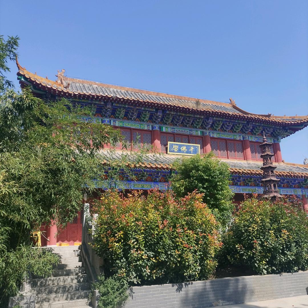 醉笑清风