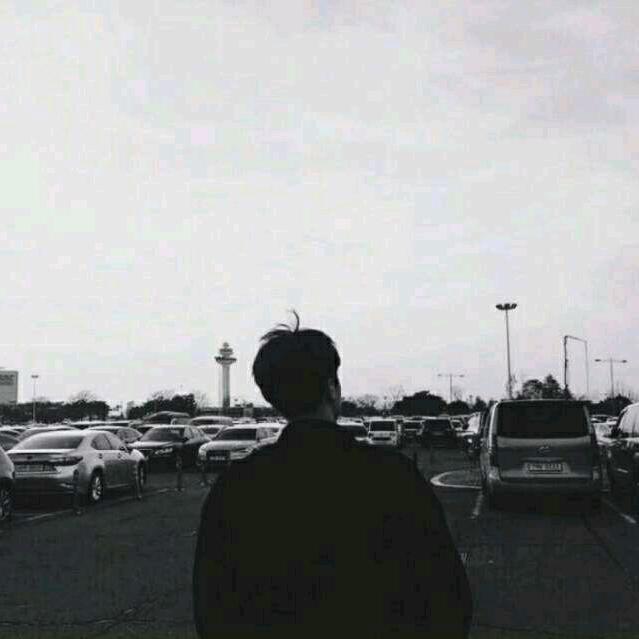 香菜（三角洲行动）