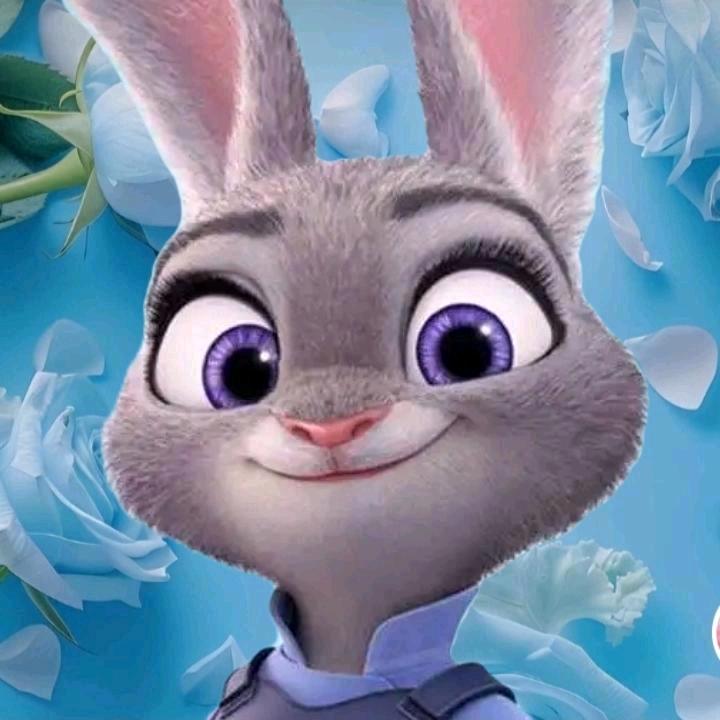 @小兔子朱迪【大心家管理】