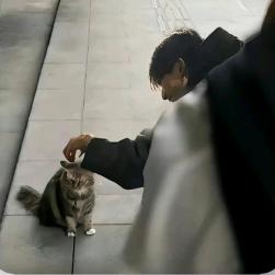 迪士尼在逃保洁阿姨