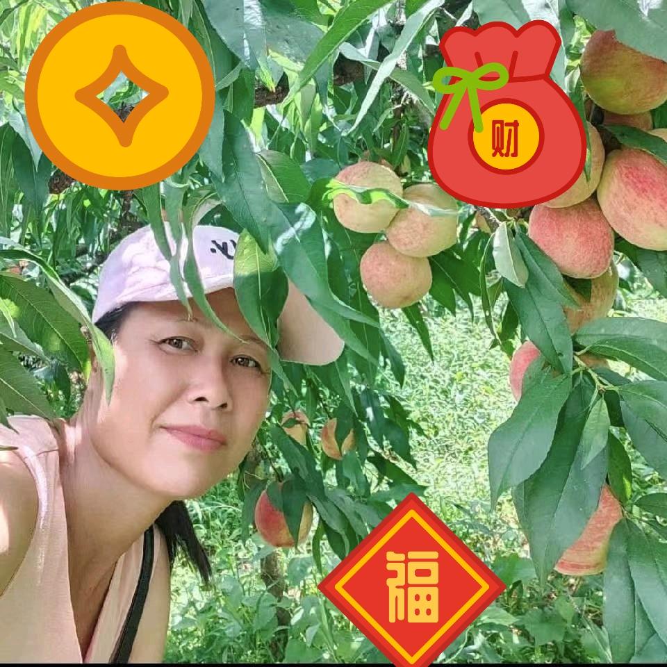 梁姐四季鲜果批发🍑🍑🍑🍎🍎🍎