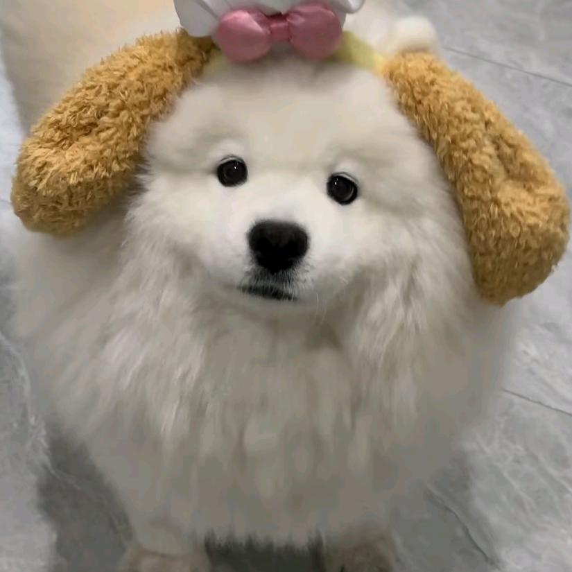 慢慢Mann