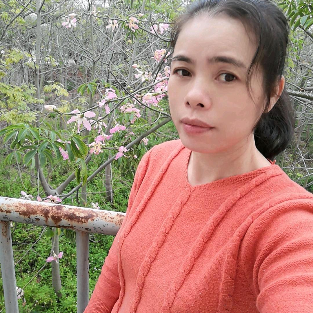 滕桂