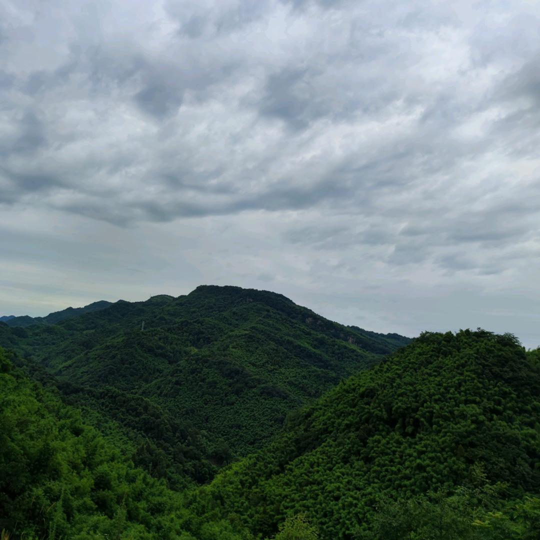 黑色浪漫