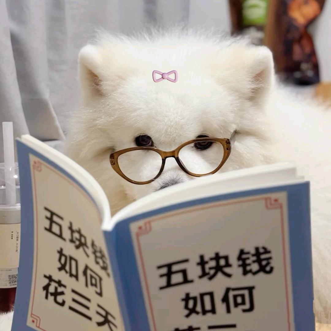 柒柒超开心