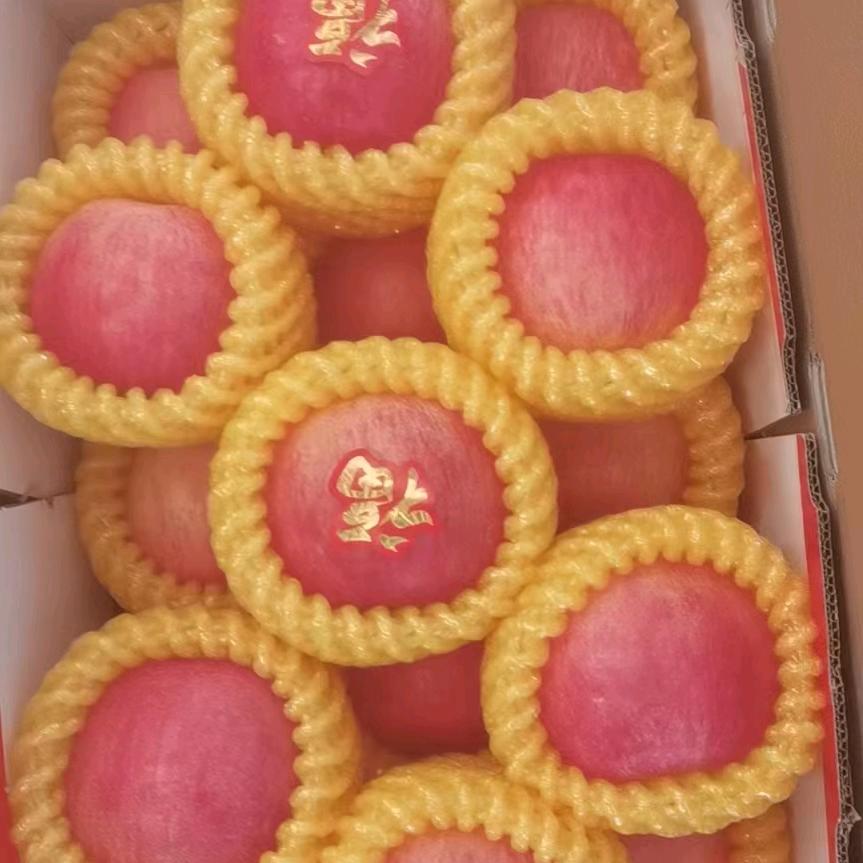 佰果源精品直销