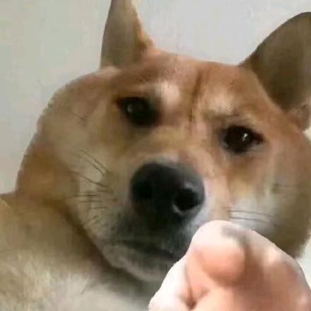 暴躁🉐很